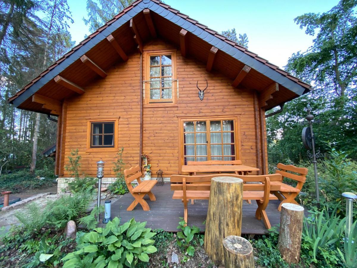 Waldhaus Eichhoernchen Bad Schmiedeberg Esterno foto
