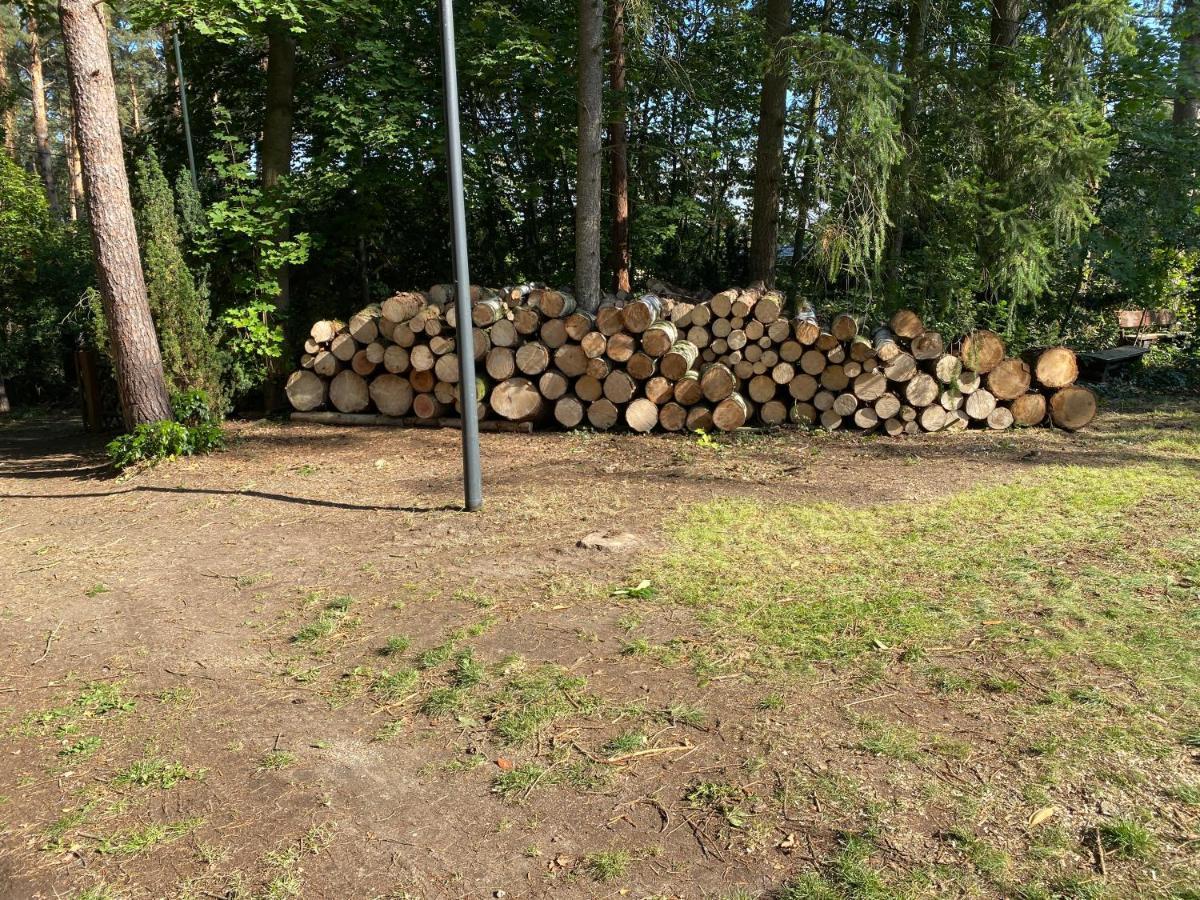 Waldhaus Eichhoernchen Bad Schmiedeberg Esterno foto