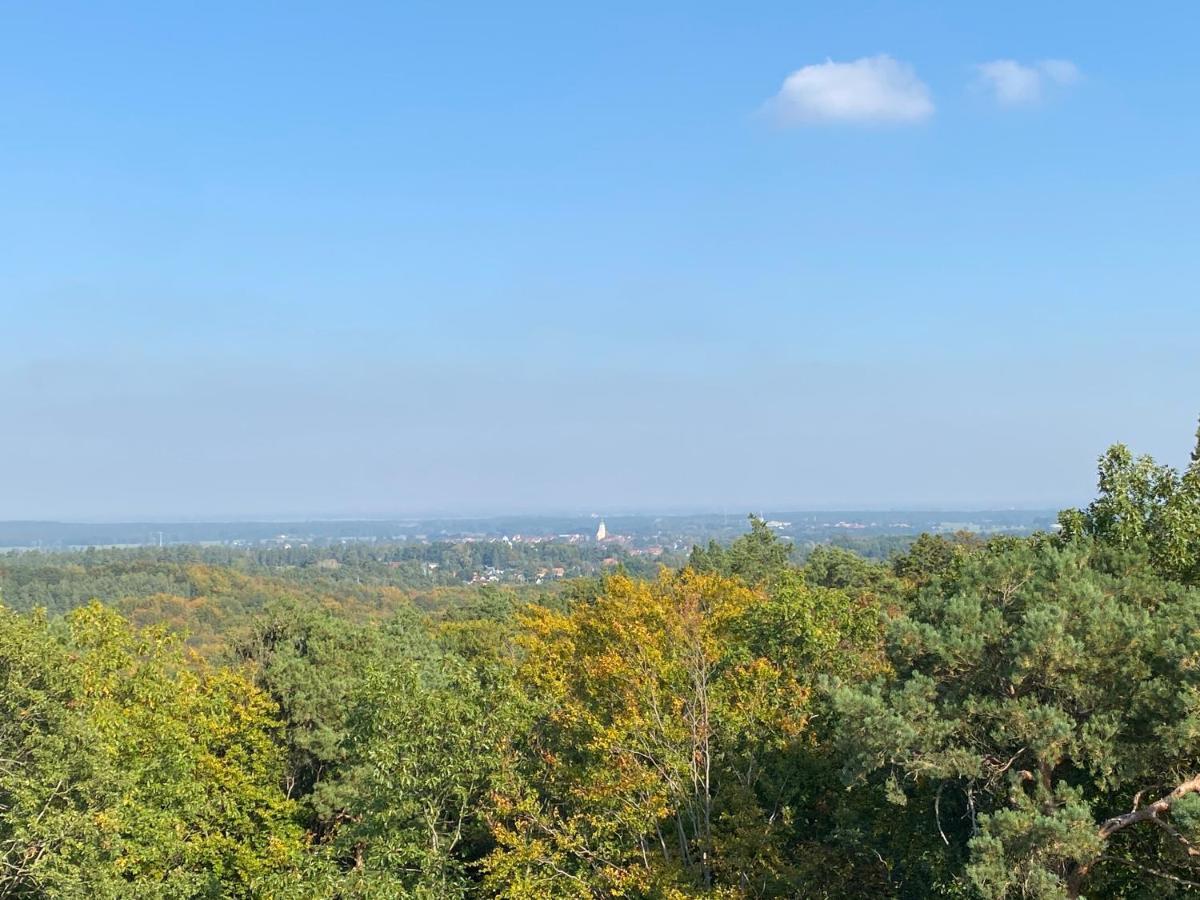 Waldhaus Eichhoernchen Bad Schmiedeberg Esterno foto