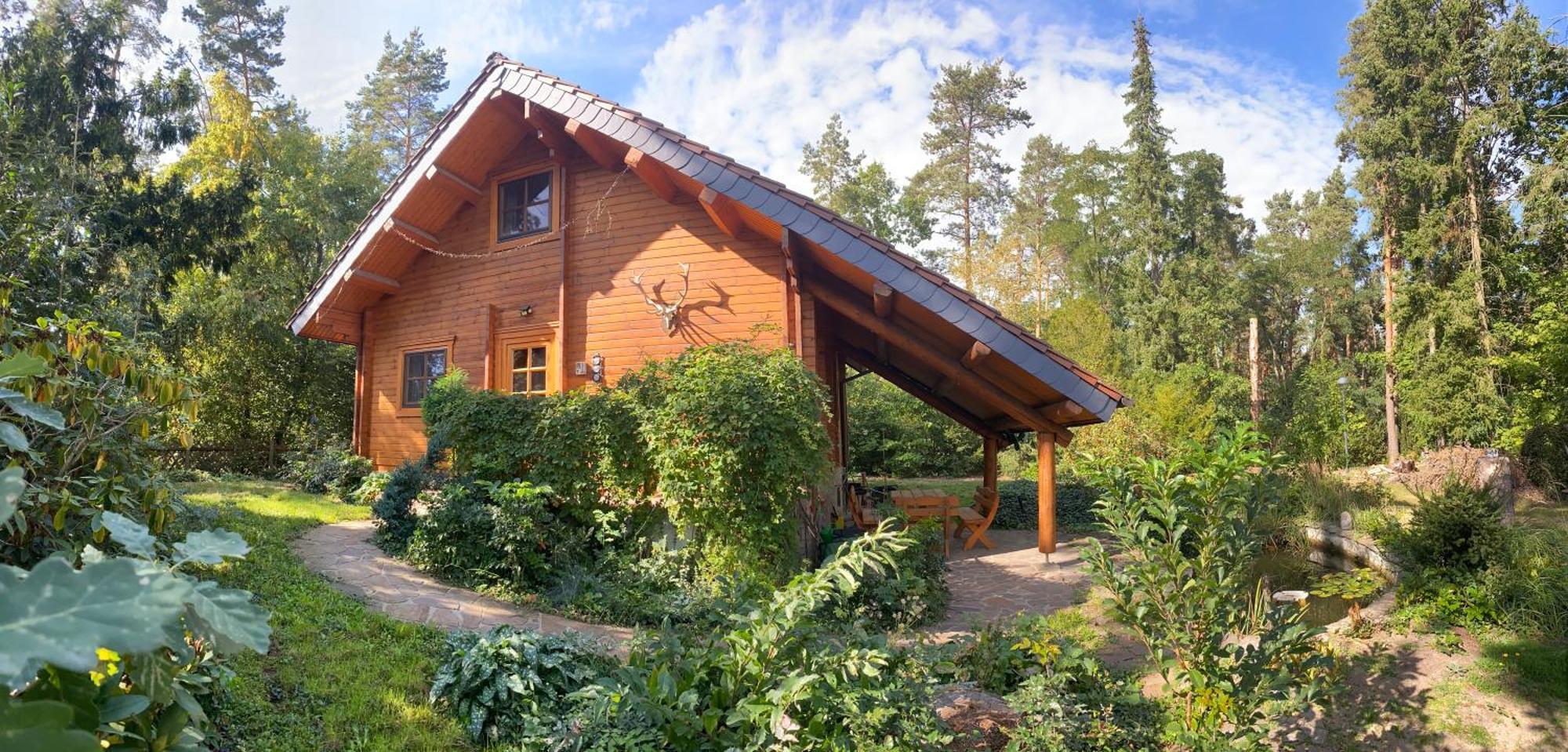 Waldhaus Eichhoernchen Bad Schmiedeberg Esterno foto