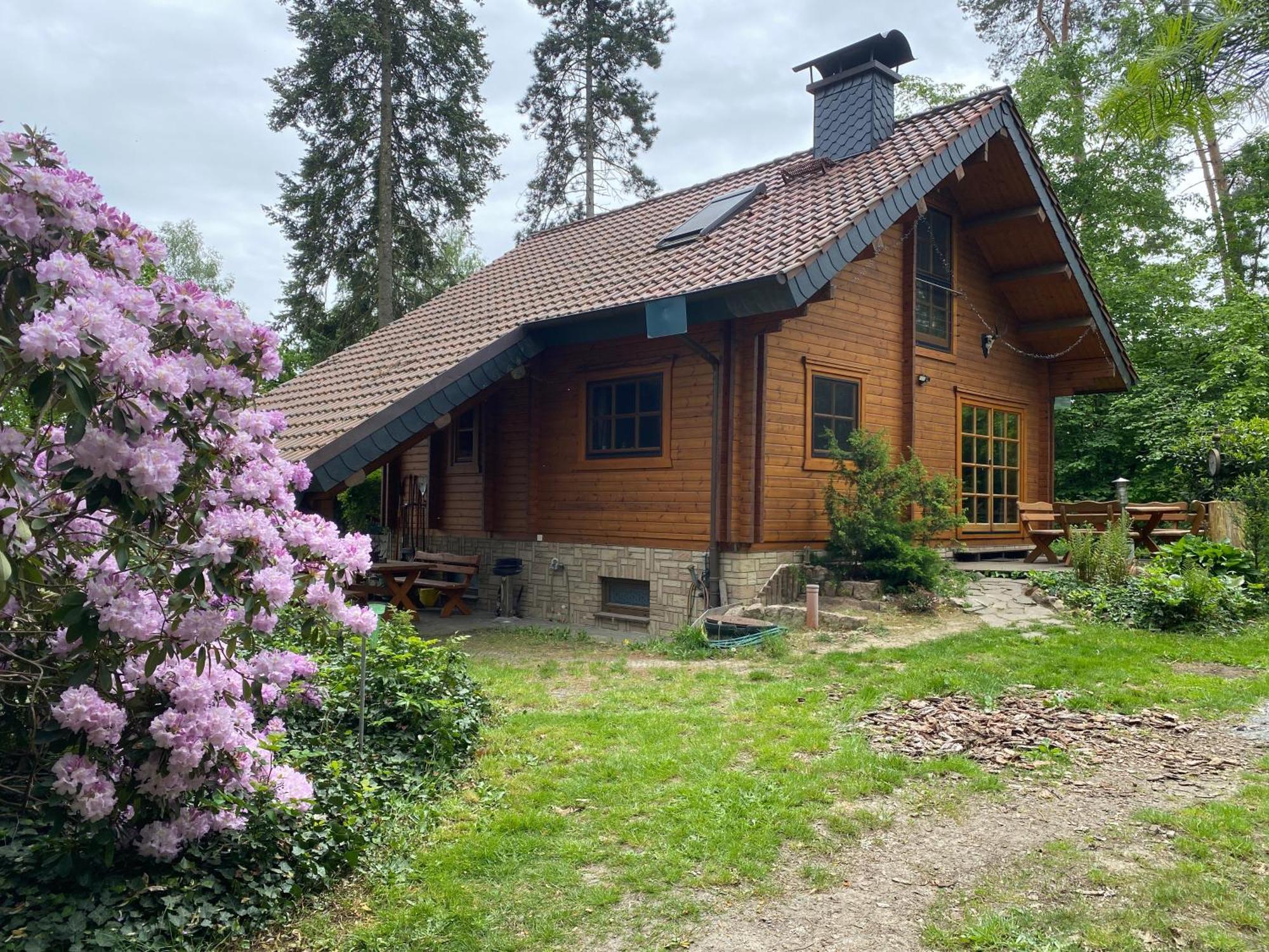 Waldhaus Eichhoernchen Bad Schmiedeberg Esterno foto